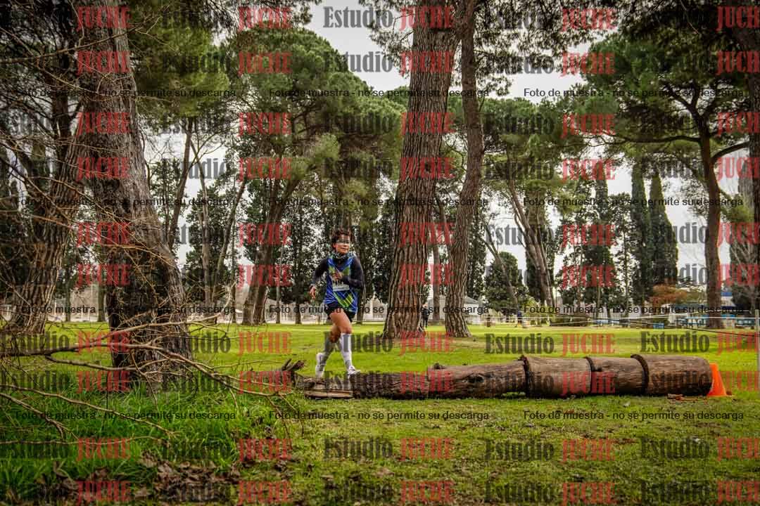 Fotos en el circuito
