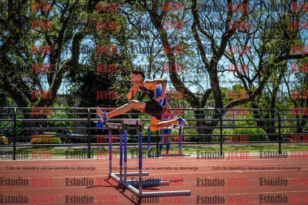 Fotos de los 110 m con vallas de varones