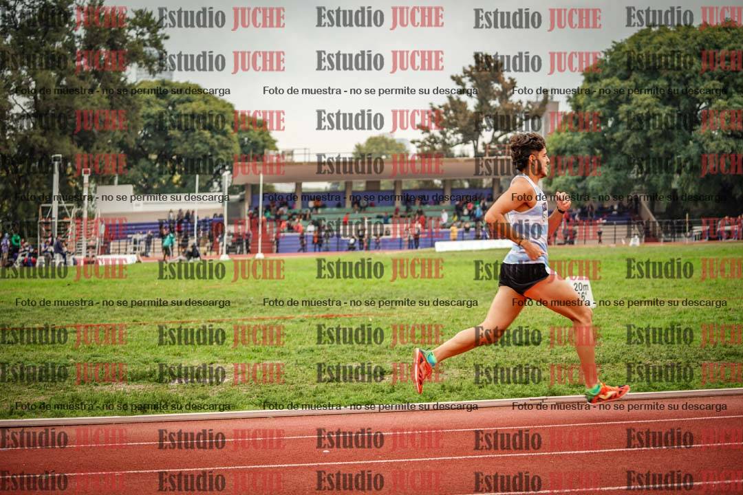 Fotos de los 800 m llanos de varones