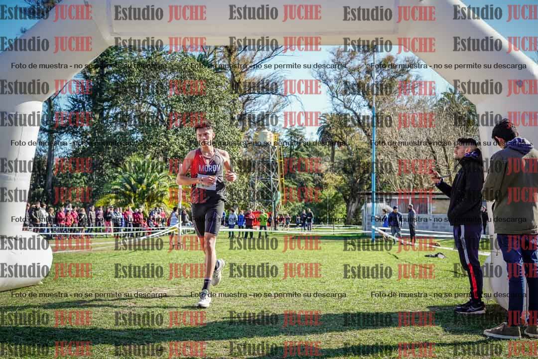 Fotos de la llegada del cross de 6000 m