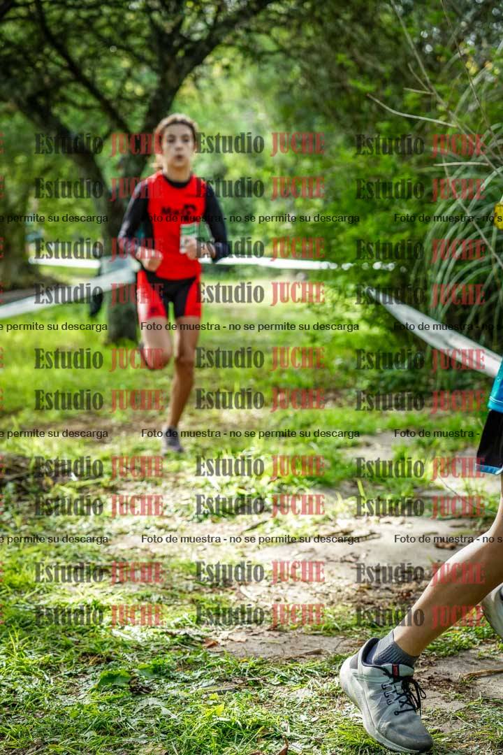 Fotos en el circuito