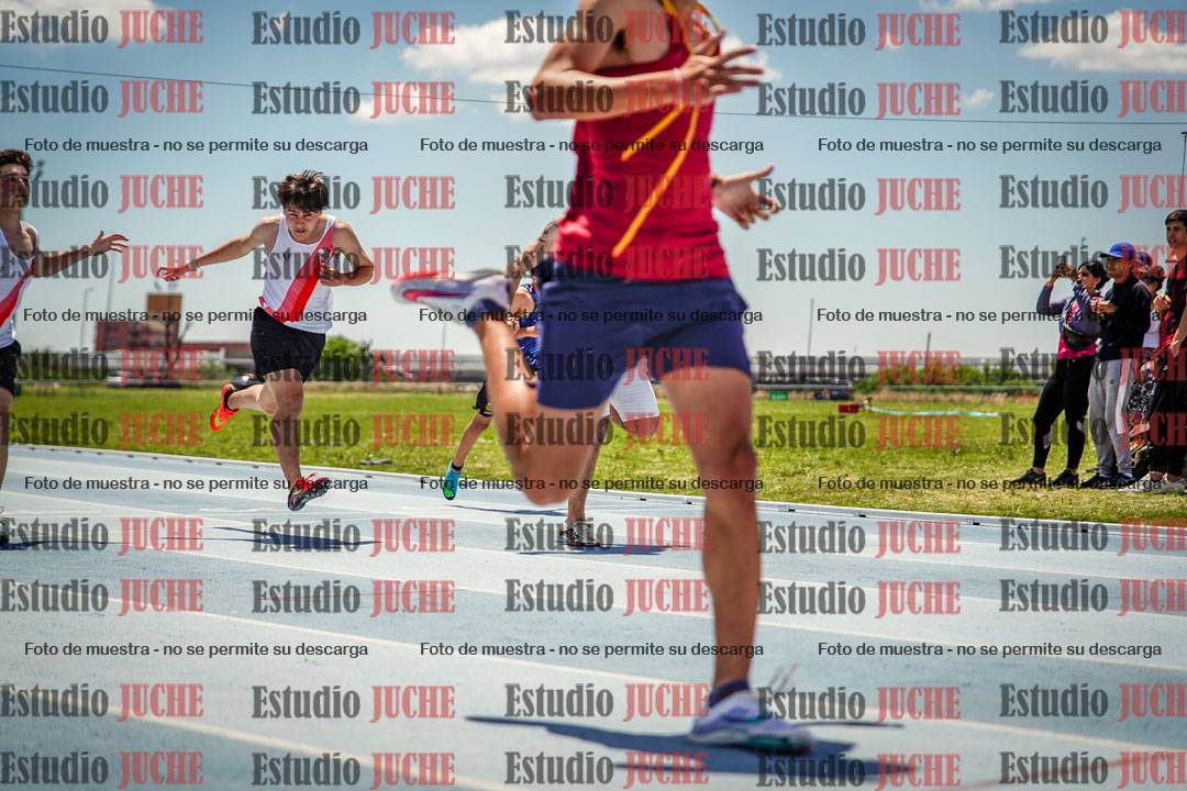 Fotos de los 100 m llanos de varones