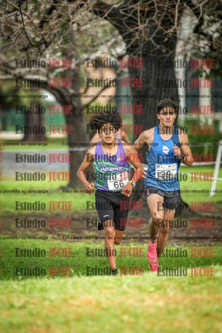 Fotos en el circuito