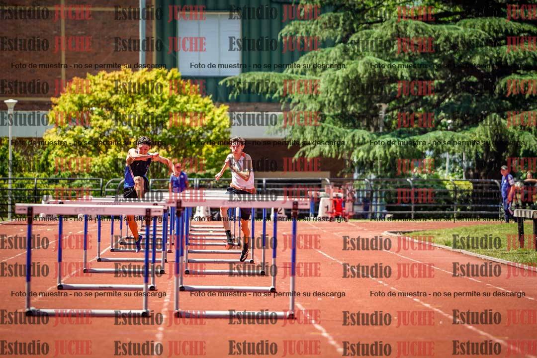 Fotos de los 110 m con vallas de varones