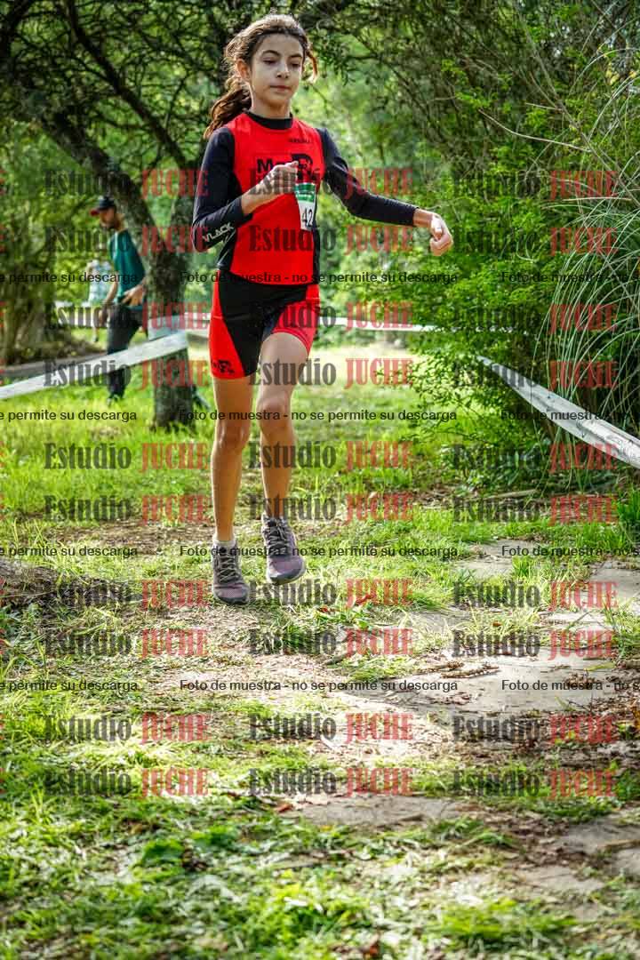 Fotos en el circuito