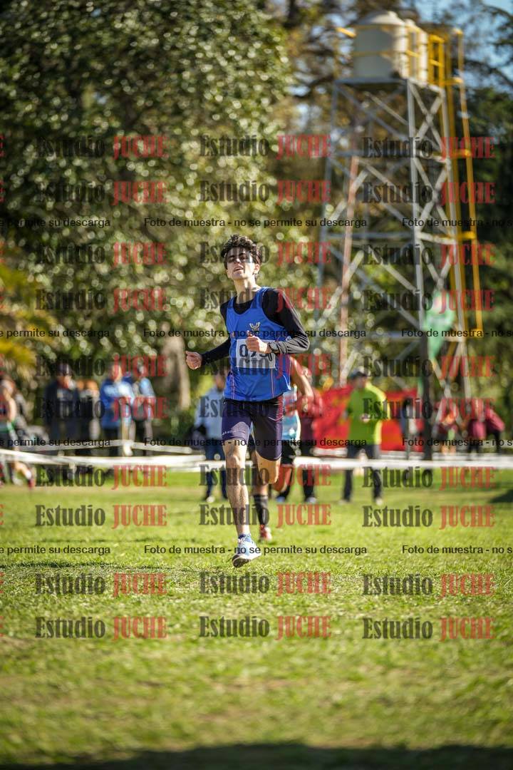 Fotos de la llegada del cross de 6000 m