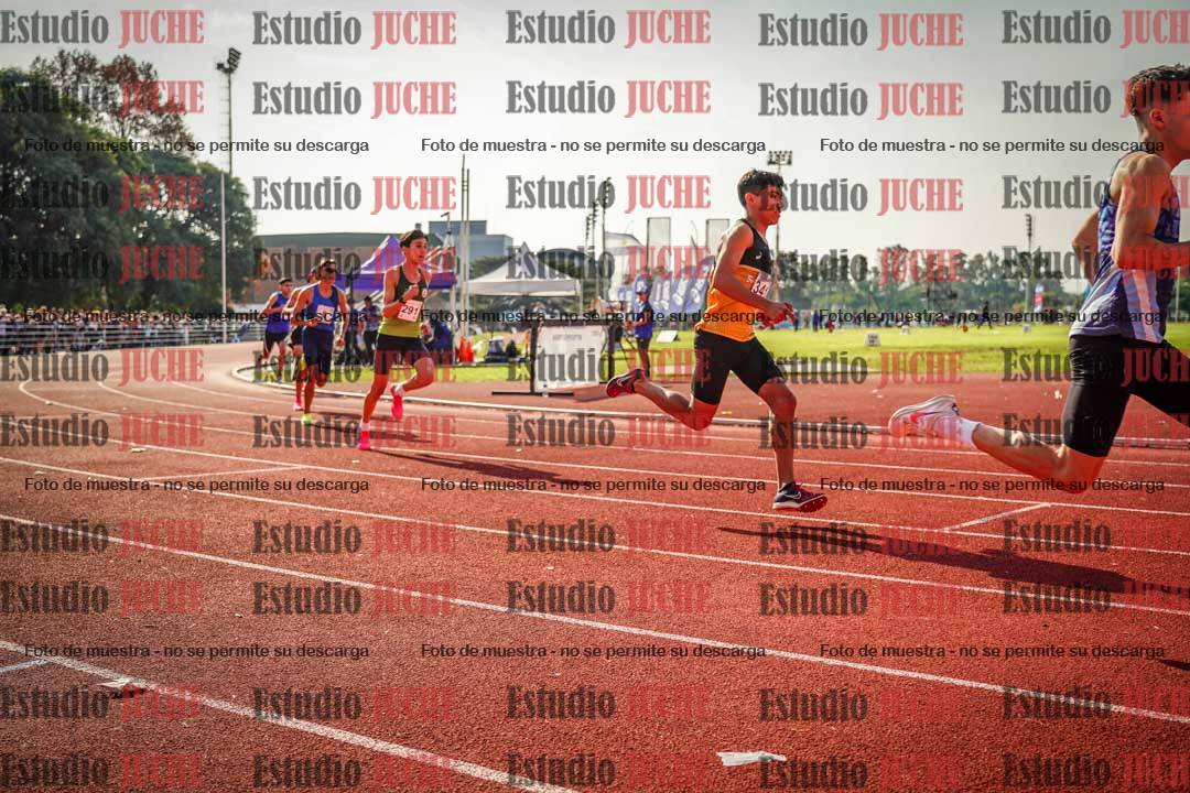 Fotos de los 800 m llanos de varones