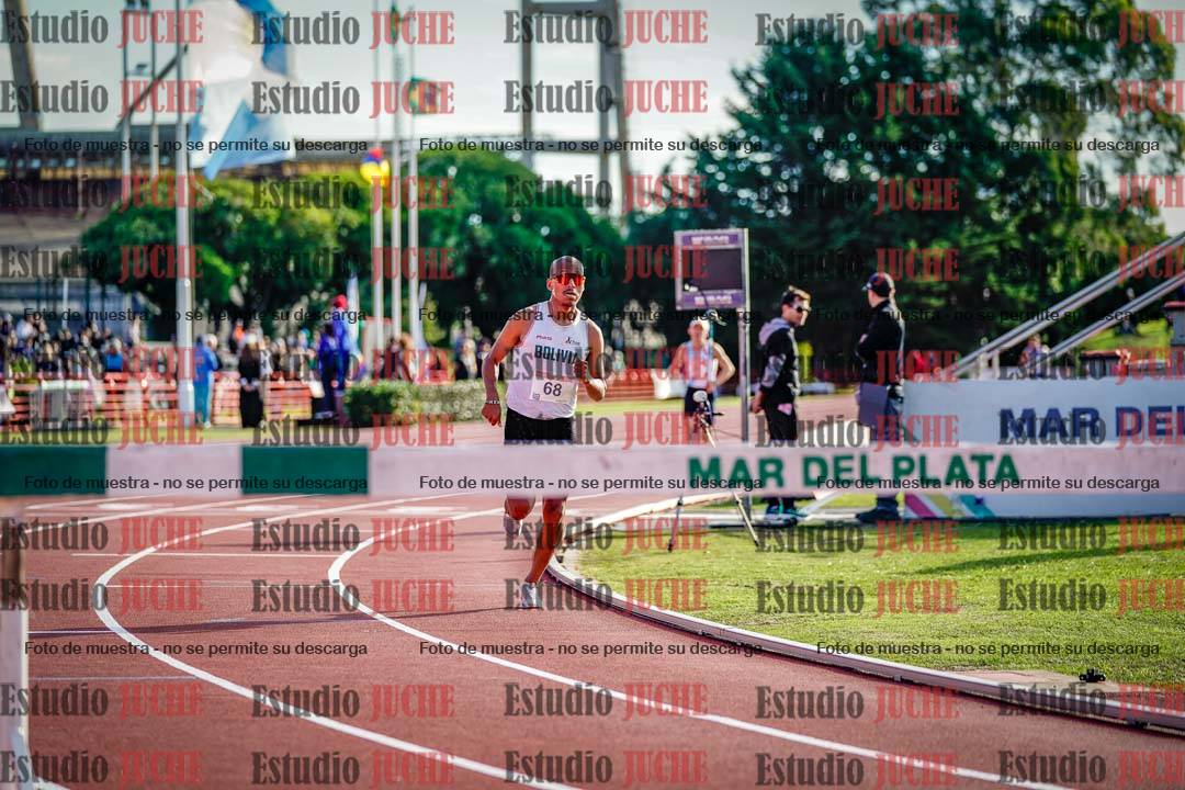 Fotos de los 3000 m con obstáculos de varones