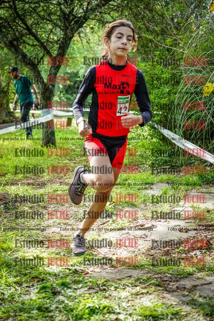 Fotos en el circuito