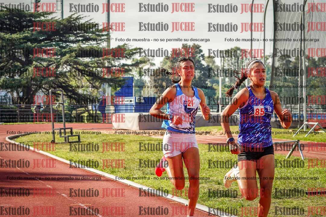 Fotos de los 800 m llanos de mujeres