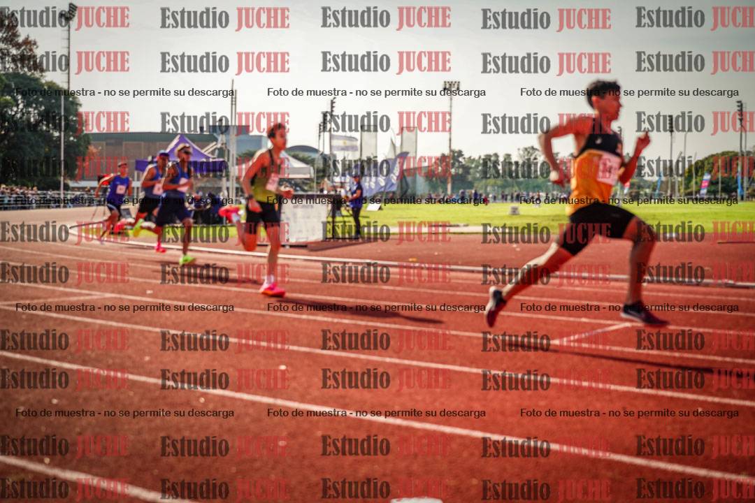 Fotos de los 800 m llanos de varones