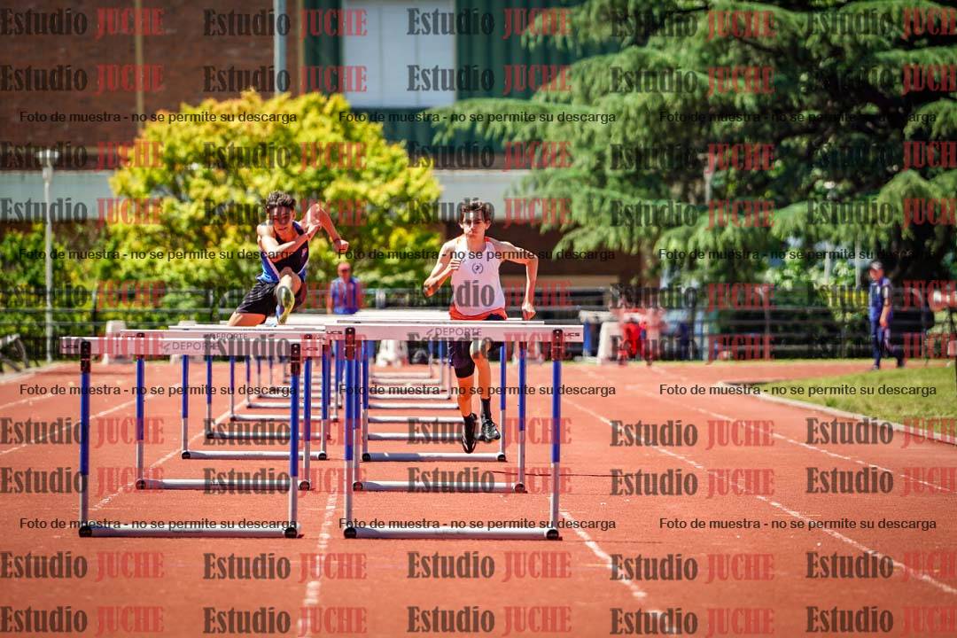 Fotos de los 110 m con vallas de varones