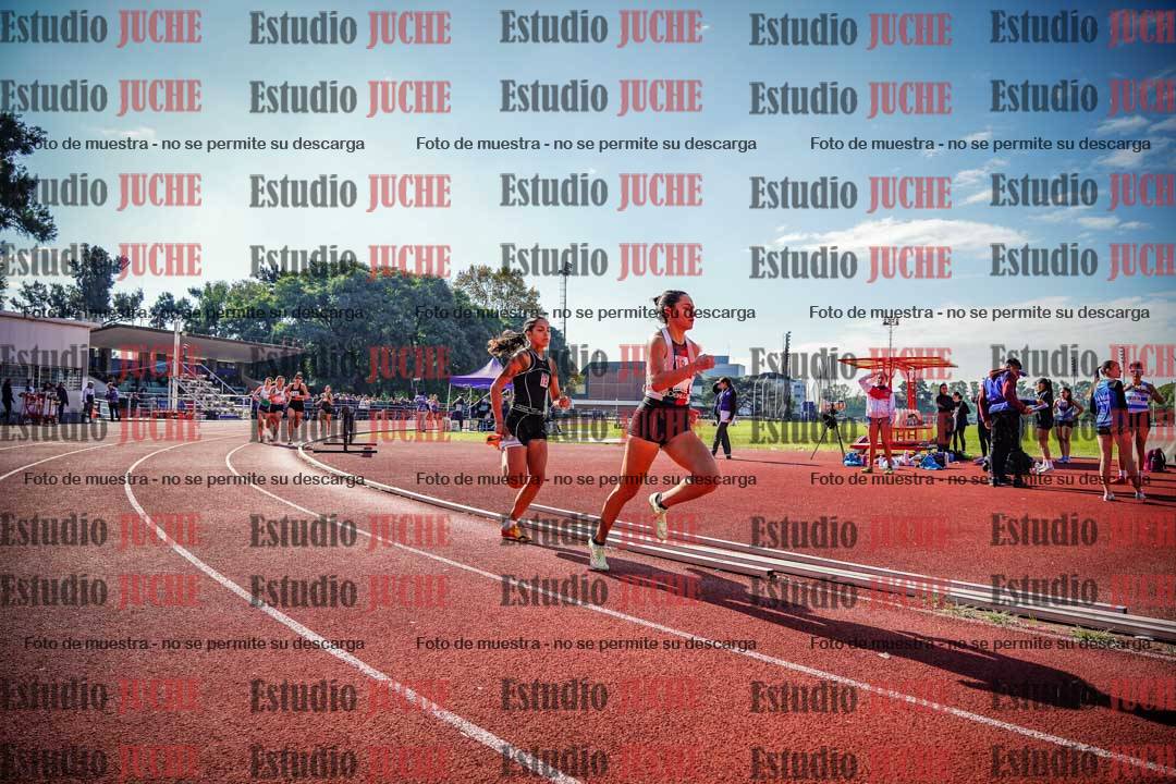 Fotos de los 800 m llanos de mujeres