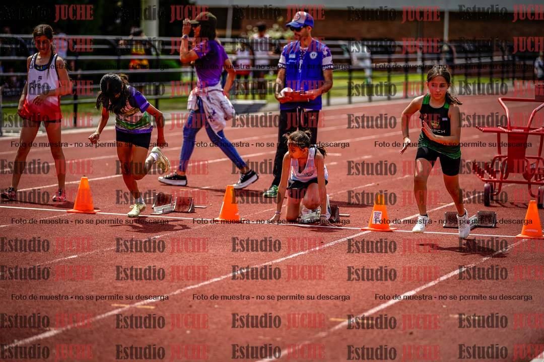 Fotos de los 50 m llanos de mujeres