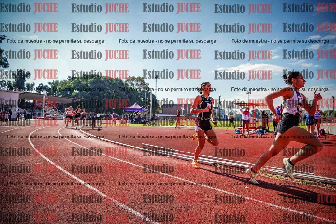 Fotos de los 800 m llanos de mujeres