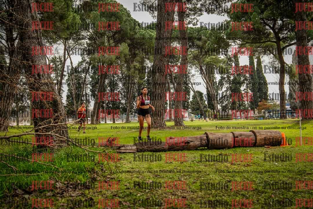 Fotos en el circuito