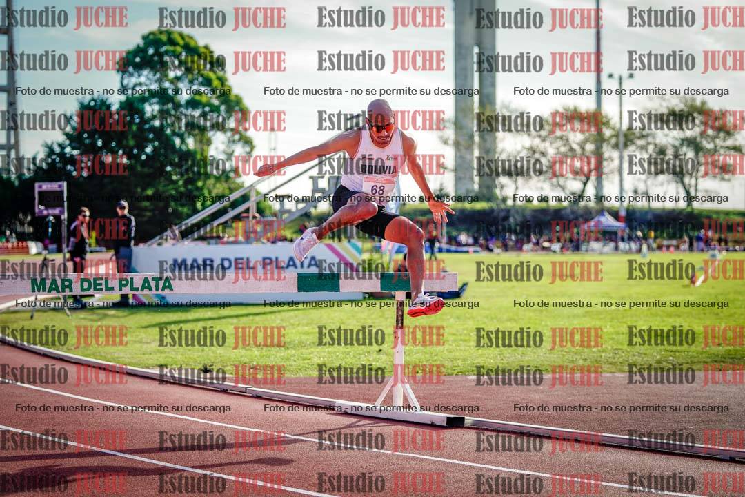 Fotos de los 3000 m con obstáculos de varones