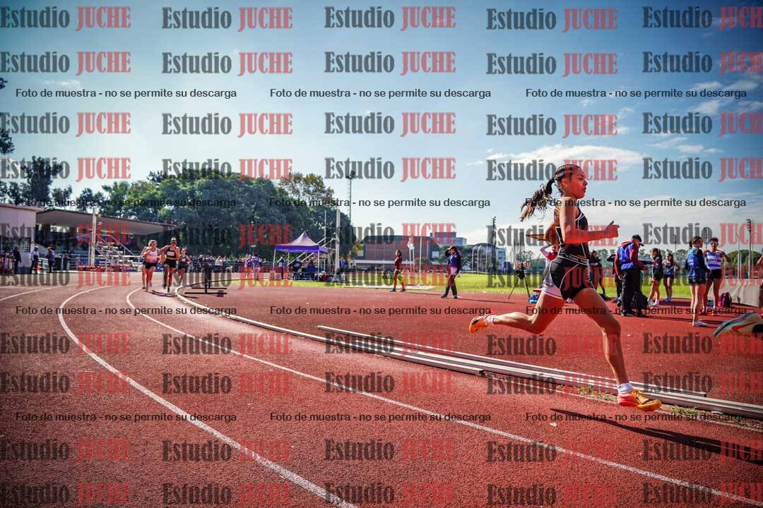 Fotos de los 800 m llanos de mujeres