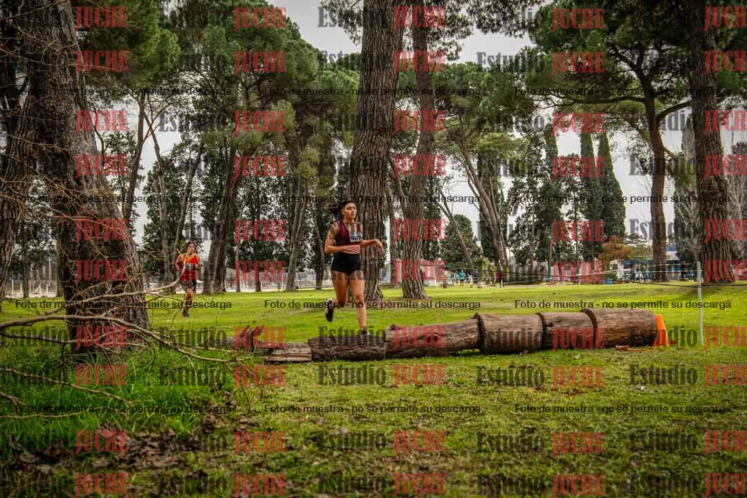 Fotos en el circuito