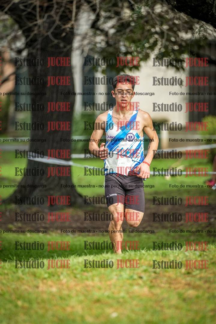 Fotos en el circuito