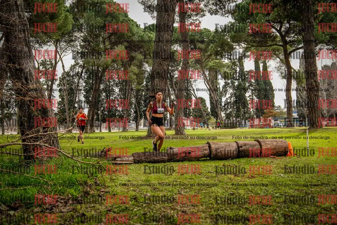 Fotos en el circuito