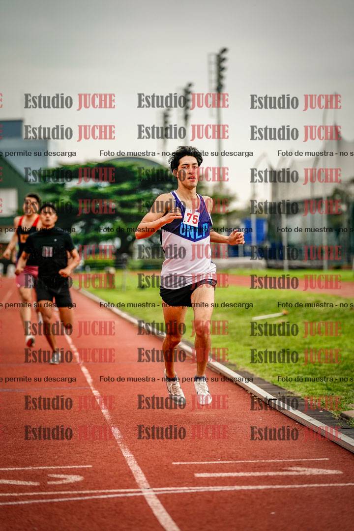 Fotos de los 800 m llanos de varones