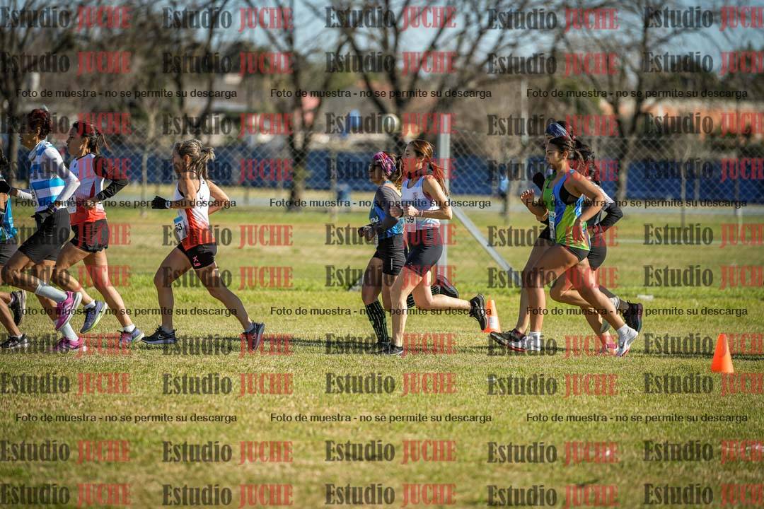 Fotos en de la largada
