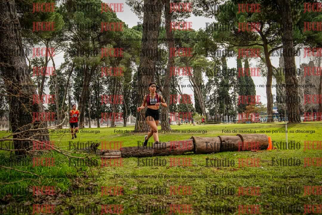 Fotos en el circuito