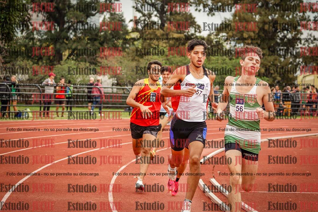 Fotos de los 800 m llanos de varones