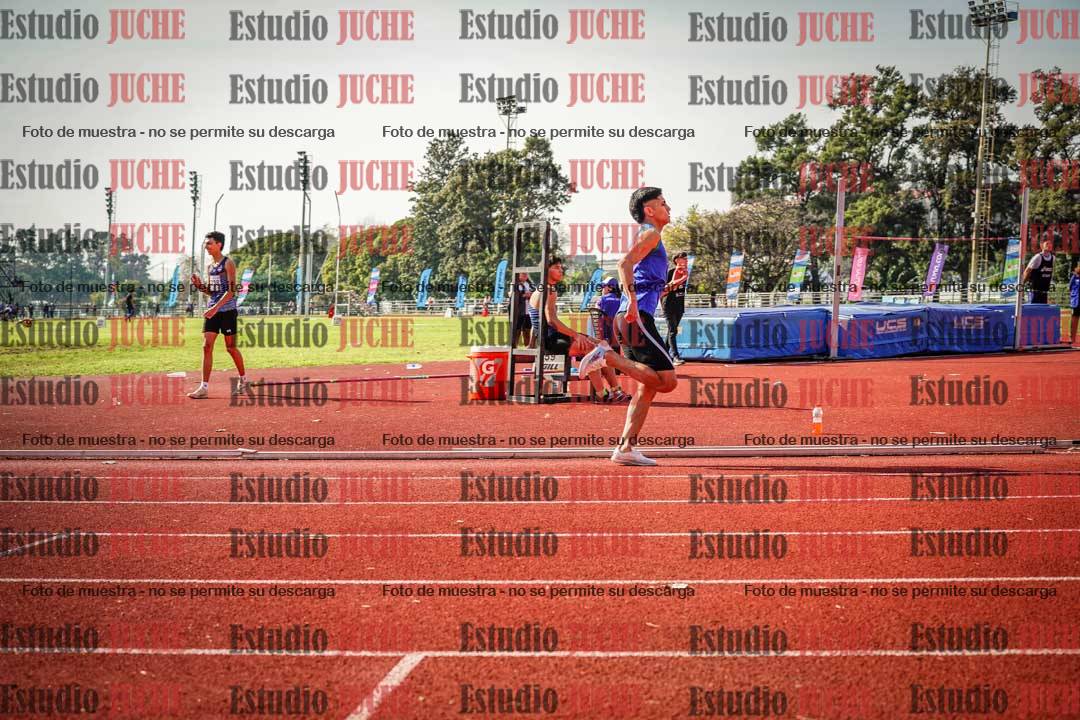 Fotos de los 800 m llanos de varones