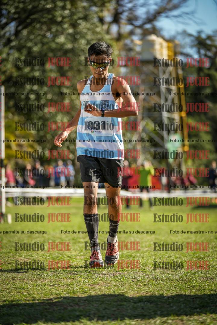 Fotos de la llegada del cross de 6000 m