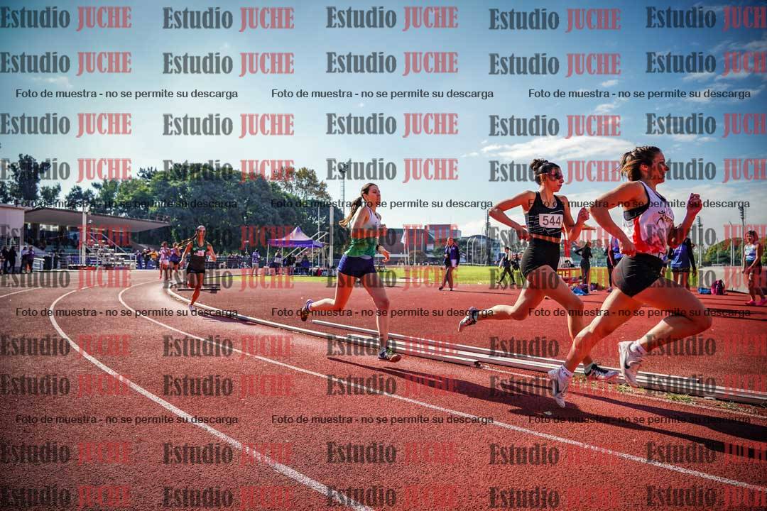 Fotos de los 800 m llanos de mujeres