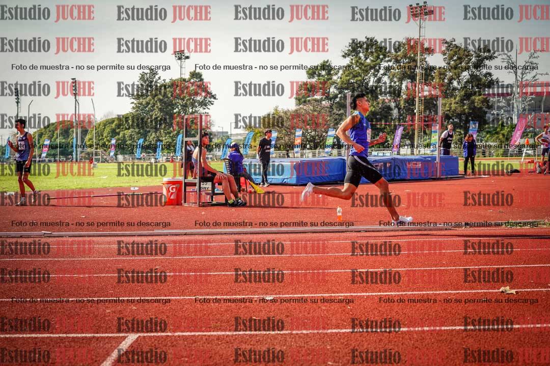 Fotos de los 800 m llanos de varones