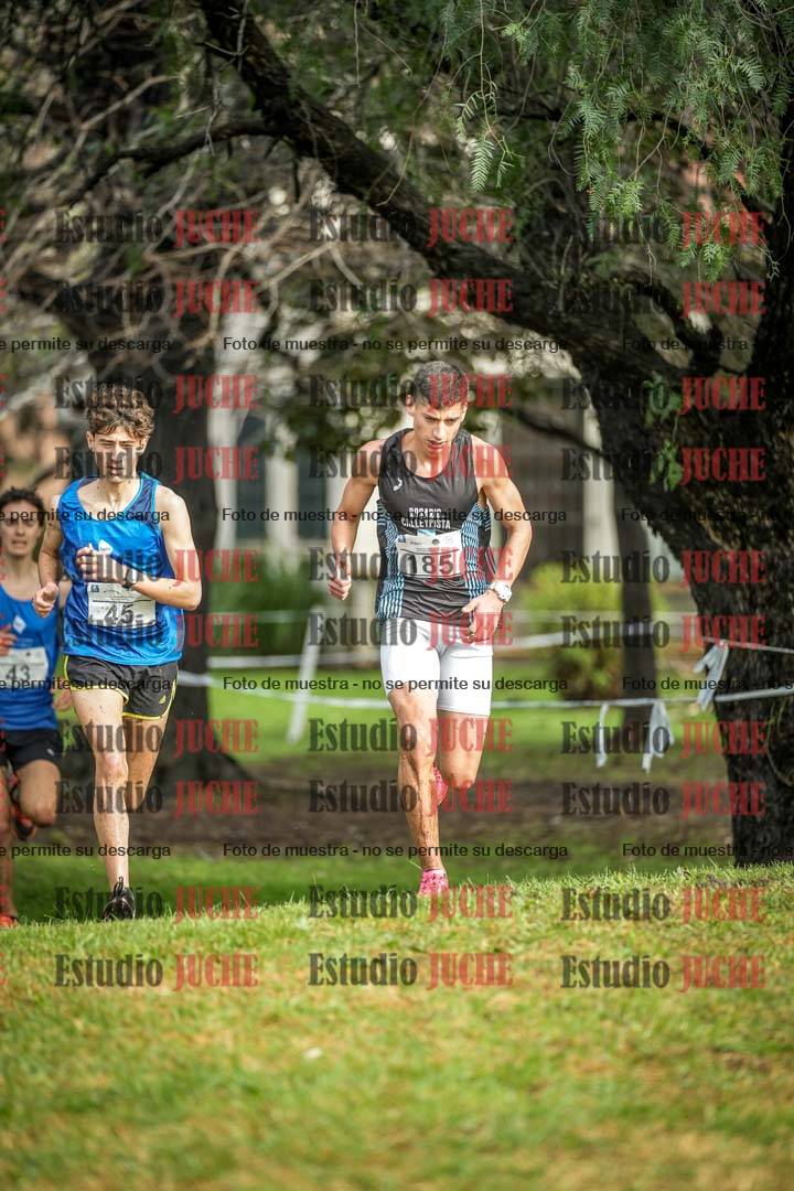 Fotos en el circuito