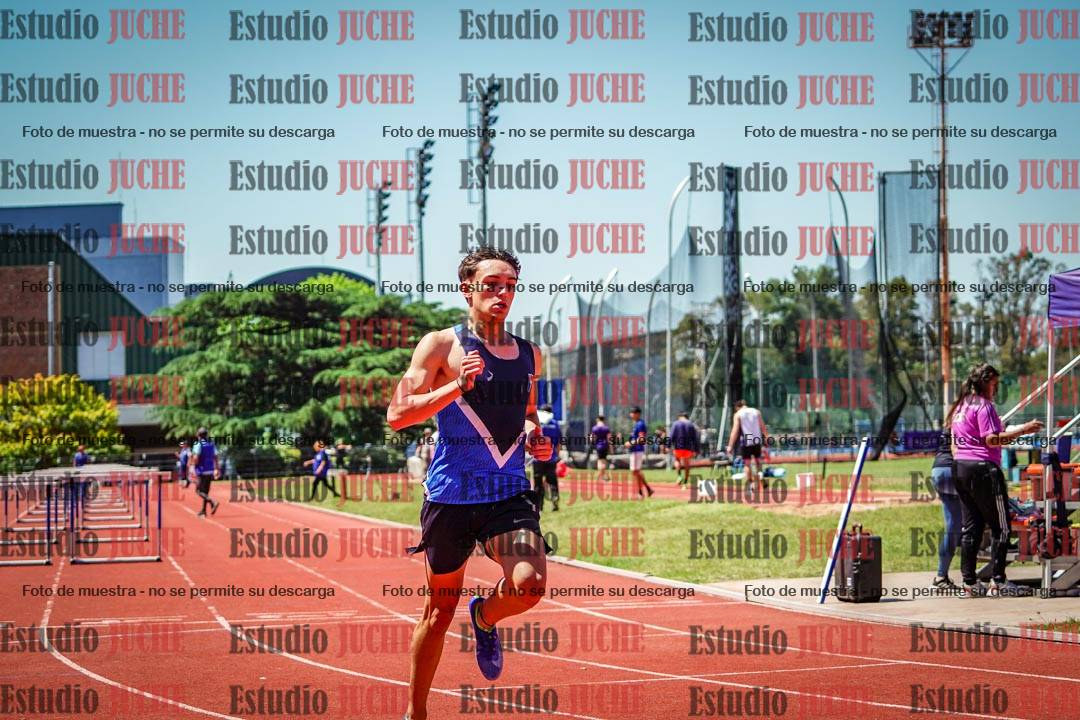 Fotos de los 110 m con vallas de varones