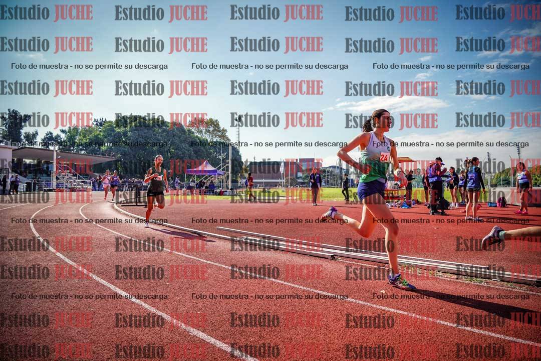 Fotos de los 800 m llanos de mujeres