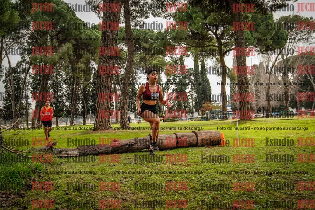 Fotos en el circuito