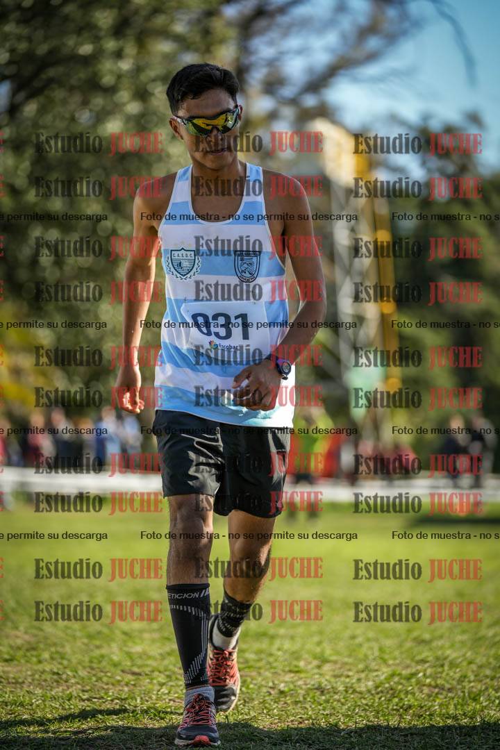 Fotos de la llegada del cross de 6000 m