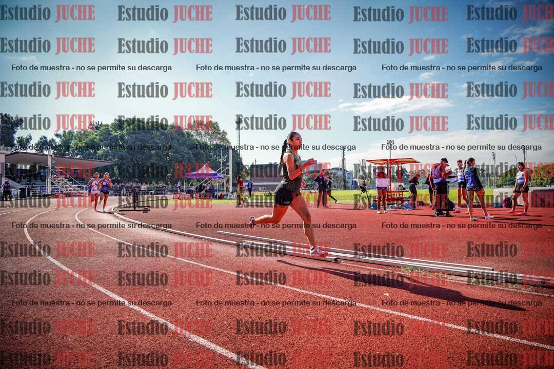 Fotos de los 800 m llanos de mujeres