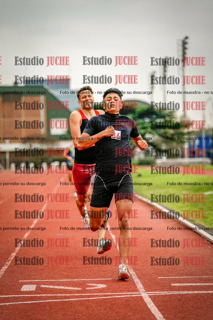 Fotos de los 800 m llanos de varones