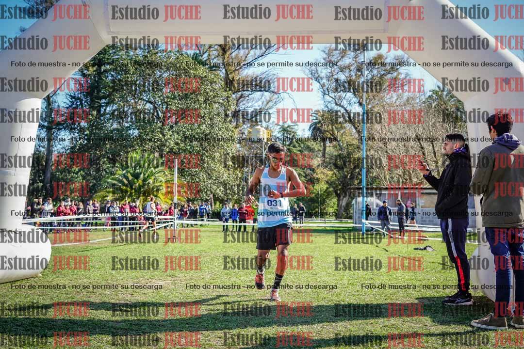 Fotos de la llegada del cross de 6000 m