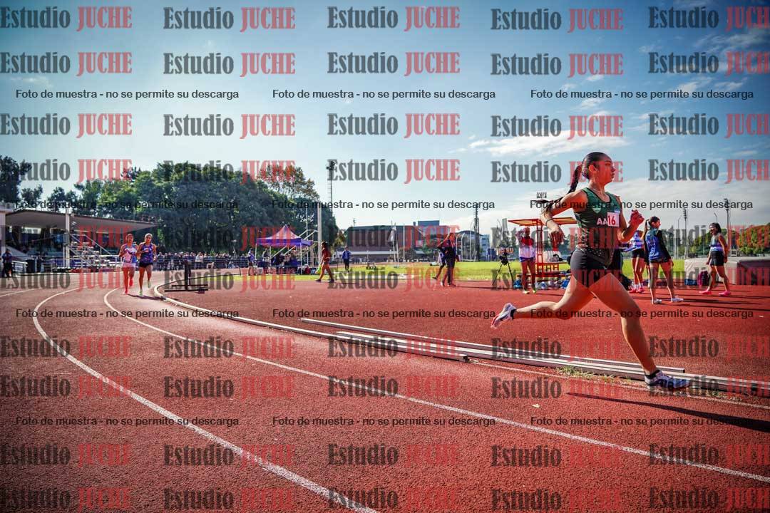 Fotos de los 800 m llanos de mujeres