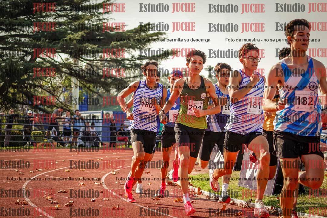 Fotos de los 800 m llanos de varones