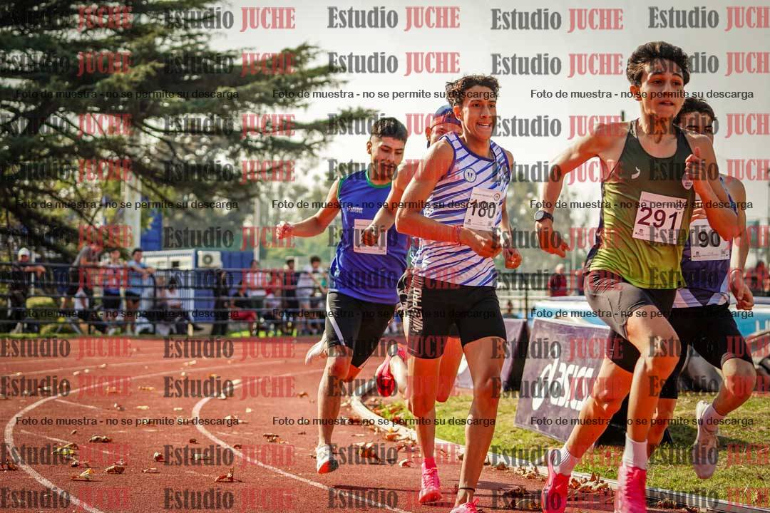 Fotos de los 800 m llanos de varones