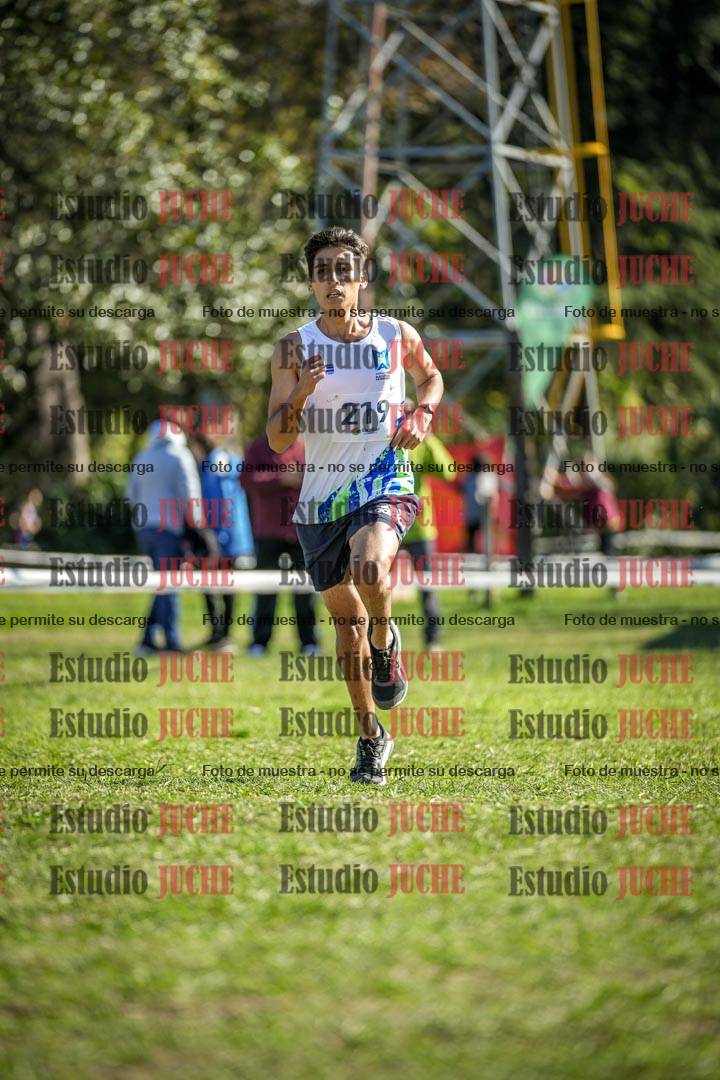 Fotos de la llegada del cross de 6000 m