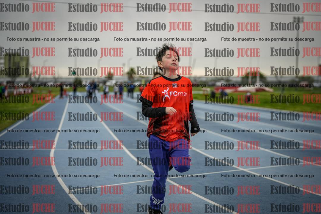 Fotos de los 50 m llanos de varones - U12