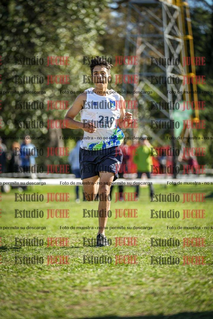 Fotos de la llegada del cross de 6000 m