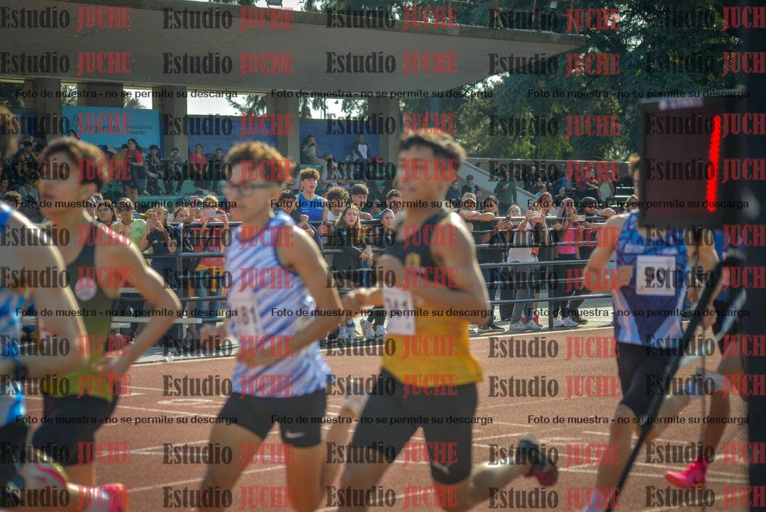 Fotos de los 800 m llanos de varones