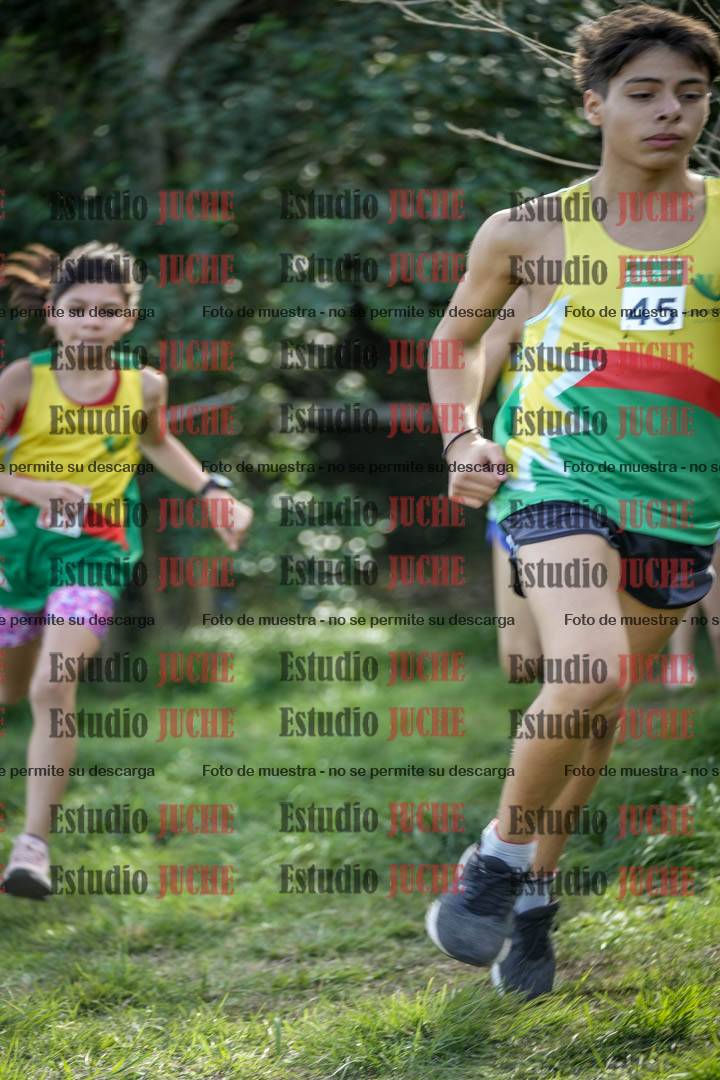 Fotos en el circuito