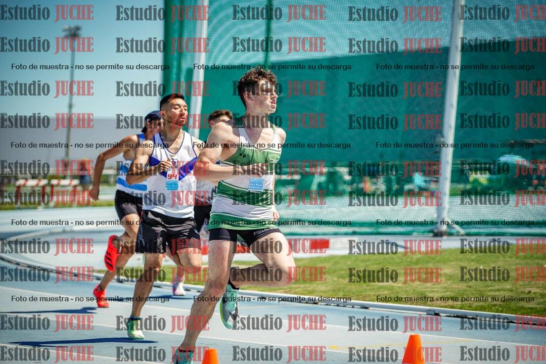 Fotos de los 800 m llanos de varones